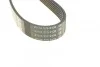 Ремінь поліклин. (вир-во) DAYCO 6PK1320 (фото 3)