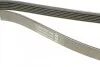 Ремень поликлин. (выр-во) DAYCO 6PK1270 (фото 3)