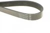 Ремень поликлин. (выр-во) DAYCO 6PK1200 (фото 3)