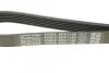 Ремень поликлин. (выр-во) DAYCO 6PK1145 (фото 4)