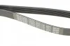 Ремень поликлин. (выр-во) DAYCO 6PK1130 (фото 5)