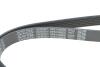 Ремень поликлин. (выр-во) DAYCO 6PK1090EE (фото 4)
