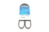 Ремень поликлин. (выр-во) DAYCO 4PK1102EE (фото 1)