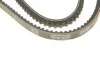 Ремень клиновый (выр-во) DAYCO 13A1250C (фото 5)