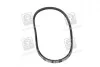 Ремень клиновый (выр-во) DAYCO 13A1030C (фото 4)