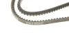 Ремень клиновый (выр-во) DAYCO 10A1200C (фото 4)