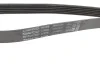 Ремінь (вир-во) DAYCO 6PK2070 (фото 3)