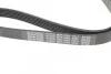 Ремінь DAYCO 6PK1040 (фото 4)