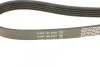 Ремень (выр-во) DAYCO 5PK1500 (фото 3)