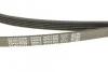 Ремень (выр-во) DAYCO 5PK1500 (фото 4)