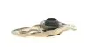 Зчеплення AUDI A1, SEAT LEON, VW PASSAT 1,4-1,8 TSI 08- (Вір-во) LUK 602 0006 00 (фото 11)