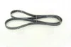 Ремень поликлиновый CHEVROLET Lacetti хэтчбек (KLAN) 1.8 [T18SED] (вы-во) Contitech 6PK1885 (фото 3)