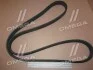Поликлиновий ремінь BMW 7 (F01, F02, F03, F04) 740 i 10/08-12/15 (Ви-во) Contitech 8DPK1833 (фото 2)