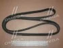 Поликлиновый ремень RANGE ROVER SPORT 4.4 4x4 02/05-03/13 (Из-во) Contitech 6PK2345 (фото 2)