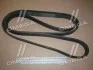 Поликлиновий ремінь MERCEDES-BENZ W140 500 SE 02/91-10/98 (Ви-во) Contitech 8PK2465 (фото 2)
