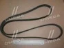 Поликлиновый ремень FORD MONDEO IV 2.0 TDCi 03/10-01/15 (Из-во) Contitech 6PK1845 (фото 1)
