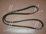 Поликлиновий ремінь OPEL ASTRA H (A04) 1.6 03/04-10/10 (Ви-во) Contitech 5PK1450 (фото 2)