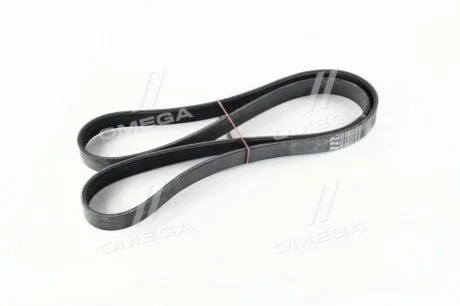 Поликлиновый ремень BMW X5 (E53) 4.6 is 02/02-12/03 (Ист-во) Contitech 7PK1623