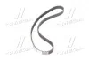 Ремінь ГРМ OPEL ASTRA H (A04) 1.7 CDTI 03/04-10/10 (Ви-во) Contitech CT1078 (фото 2)