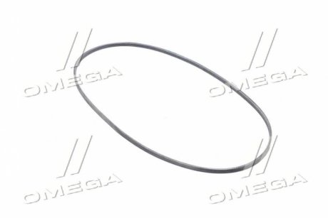 Поликлиновый ремень MERCEDES-BENZ W220 10/98-08/05 (Из-во) Contitech 3PJ891