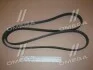 Поликлиновий ремінь BMW 3 (E90) 335 d 09/06-12/11 (Ви-во) Contitech 6PK2065 (фото 2)