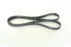 Ремень поликлиновый DAEWOO Nubira 1.6 16V (вы-во) Contitech 6PK1880 (фото 3)