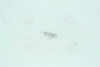 Лампа розжарювання W1,2w 12v 1,2w W2x4,6d (вир-во Narva) NARVA 17037CP (фото 1)