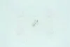 Лампа розжарювання W1,2w 12v 1,2w W2x4,6d (вир-во Narva) NARVA 17037CP (фото 4)