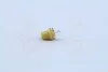 Лампа розжарювання 12v 1,5w Bx8,5d YELLOW (вир-во Narva) NARVA 17050CP (фото 3)