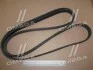 Поликлиновий ремінь FORD TRANSIT (Ви-во) Contitech 7PK2967 (фото 2)