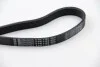 Ремень поликлиновый (Выр-во) Contitech 6PK1120 (фото 3)