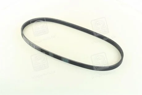Ремень полииклиновый (И-во) Contitech 4PK800