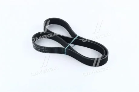 Ремень поликлиновый (Вы-во) Contitech 7PK1125
