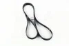 Поликлиновый ремень (Вы-во) Contitech 6PK2310 (фото 4)