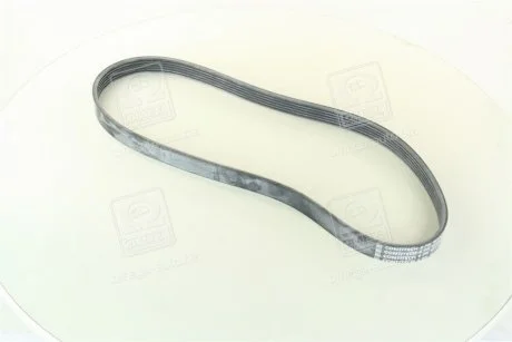 Ремінь поліклиновий (Ви-во) Contitech 6PK1033ELAST
