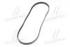 Поликлиновой ремень (И-во) Contitech 5PK1260 (фото 4)