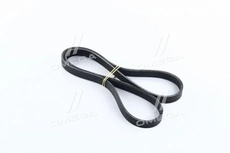 Ремень поликлиновый (Вы-во) Contitech 5PK1165