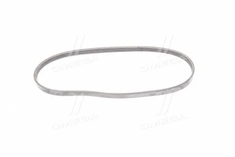 Ремень поликлиновый (Вы-во) Contitech 4PK922ELAST