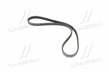 Поликлиновой ремінь (Ви-во) Contitech 4PK896ELAST