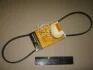 Ремень поликлиновый (Вы-во) Contitech 3PK960 (фото 2)