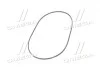 Ремень поликлиновый (Вы-во) Contitech 2PJ860 (фото 2)