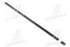 Вал приводу ТНК Case 2366 (1320160C4CNH) AGRI PARTS 18AP004291 (фото 2)