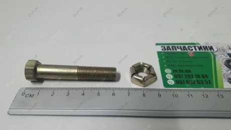 Болт М10х42 чашки пруж. підв.пер. Волга до важеля нижн. (Покуп. ГАЗ) Красная Этна Завод ОАО 201525-П29