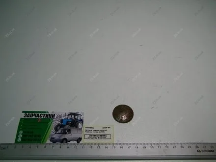 Заглушка шкворня передней подвески Волга ГАЗ 296986-600