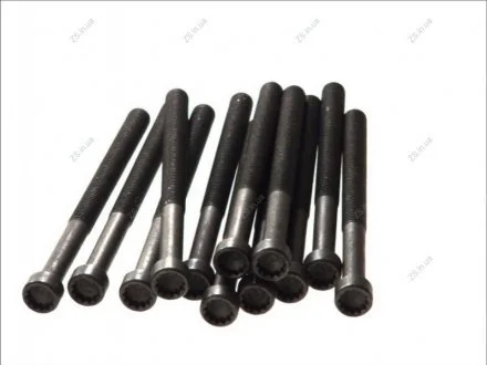 Болт головки БЛОКА (КОМПЛЕКТ) VAG 2.5TDI AXD/AXE/BAC/BLJ/BLK/BNZ/BPC/BPD/BPE (выр-во Elring 326.430