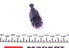 Вимикач ліхтаря сигналу гальмування AUDI, SEAT, SKODA, VOLKSWAGEN (FEBI) FEBI BILSTEIN 02803 (фото 4)