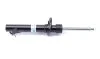 Амортизатор подв. FORD FIESTA 5 JH JD MAZDA 2 передн. пров. B4 (выр-во) BILSTEIN 22-111777 (фото 8)
