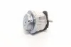 Подушка двигателя левая BMW 5 (E60) 2003 - 2010 (выр-во FEBI) FEBI BILSTEIN 24080 (фото 4)