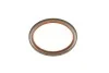 САЛЬНИК REAR 90X110X7 PSA EW10A (вір-во) Elring 508.209 (фото 3)