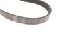 Поликлиновой ременный комплект (Вы-во) SKF VKMA 36055 (фото 3)